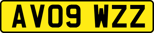 AV09WZZ