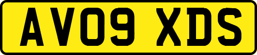 AV09XDS