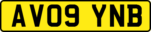 AV09YNB