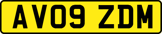 AV09ZDM