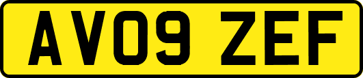 AV09ZEF