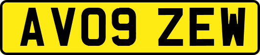 AV09ZEW