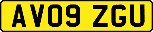 AV09ZGU