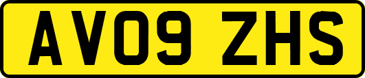 AV09ZHS