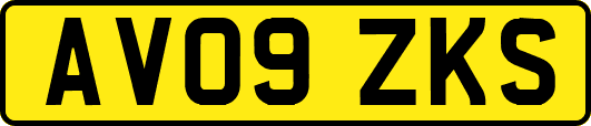 AV09ZKS