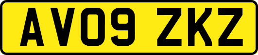 AV09ZKZ