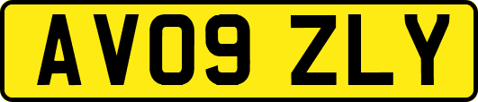 AV09ZLY