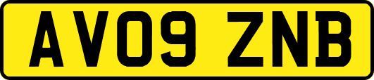 AV09ZNB