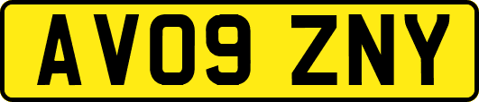 AV09ZNY