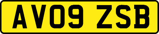 AV09ZSB