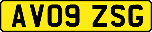 AV09ZSG
