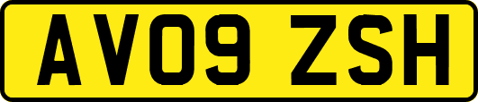 AV09ZSH