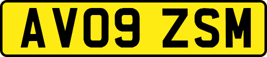 AV09ZSM