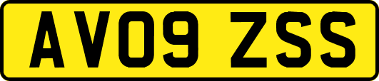 AV09ZSS