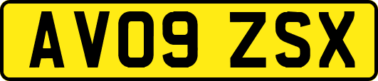 AV09ZSX
