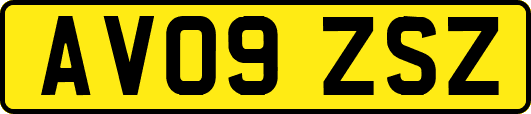 AV09ZSZ