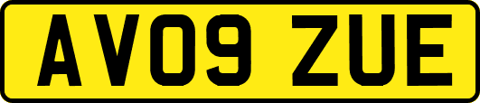AV09ZUE