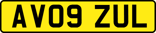 AV09ZUL