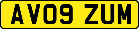 AV09ZUM