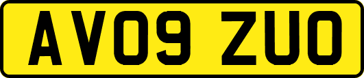 AV09ZUO