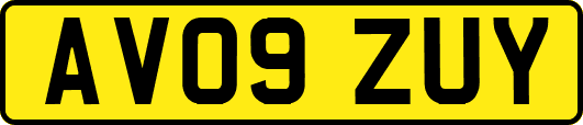AV09ZUY