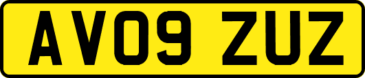 AV09ZUZ