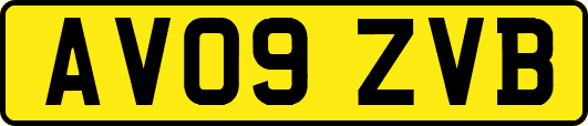 AV09ZVB