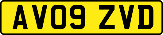AV09ZVD