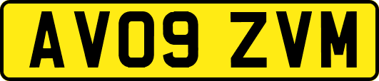 AV09ZVM