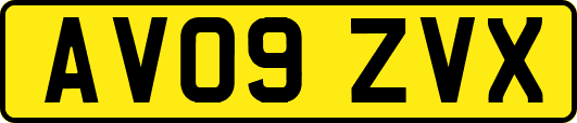 AV09ZVX