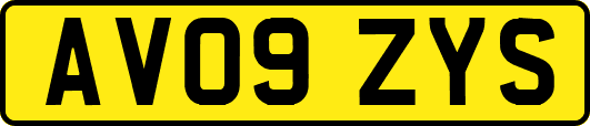 AV09ZYS
