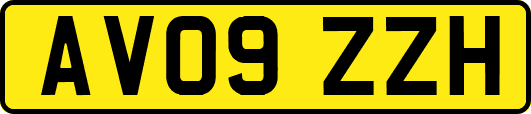 AV09ZZH