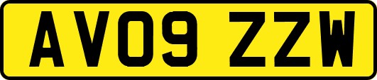 AV09ZZW