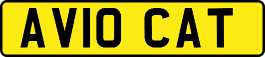 AV10CAT