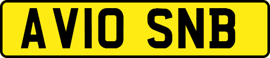 AV10SNB