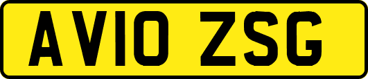AV10ZSG