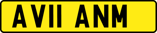 AV11ANM