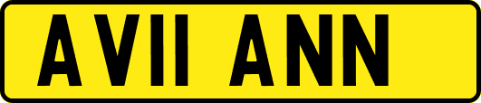 AV11ANN