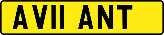 AV11ANT
