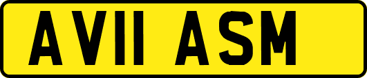 AV11ASM