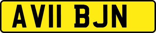 AV11BJN