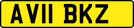 AV11BKZ