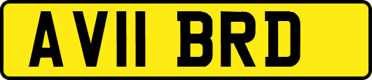 AV11BRD