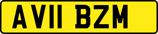 AV11BZM