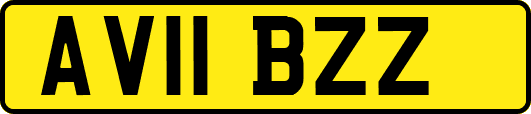 AV11BZZ