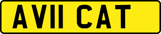 AV11CAT