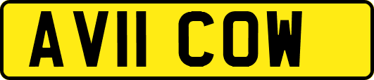 AV11COW