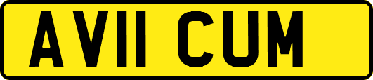 AV11CUM