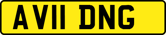 AV11DNG