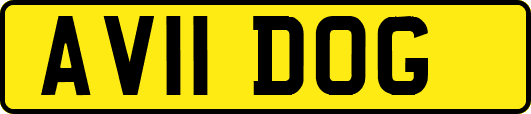 AV11DOG